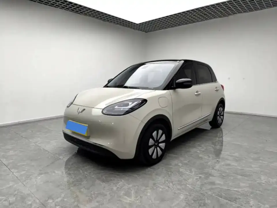 Wuling Motors Wuling Bingo 410km Smart Premium Edition 2024