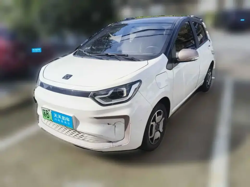 Sehol Flower Fairy 302km Fashion Edition 31.4kWh 2022