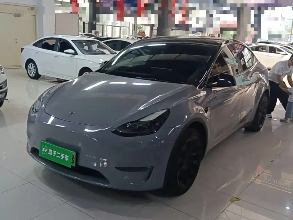 Tesla Model Y Standard Range Rear-Wheel Drive 2021