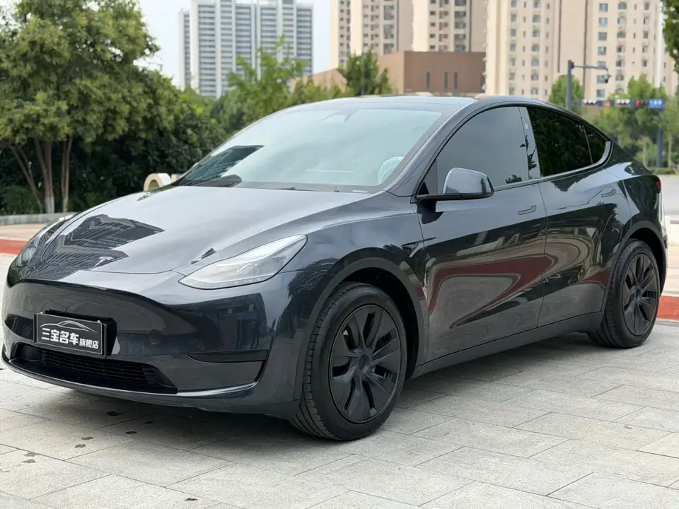 Tesla Model Y Rear-Wheel Drive Version 2024