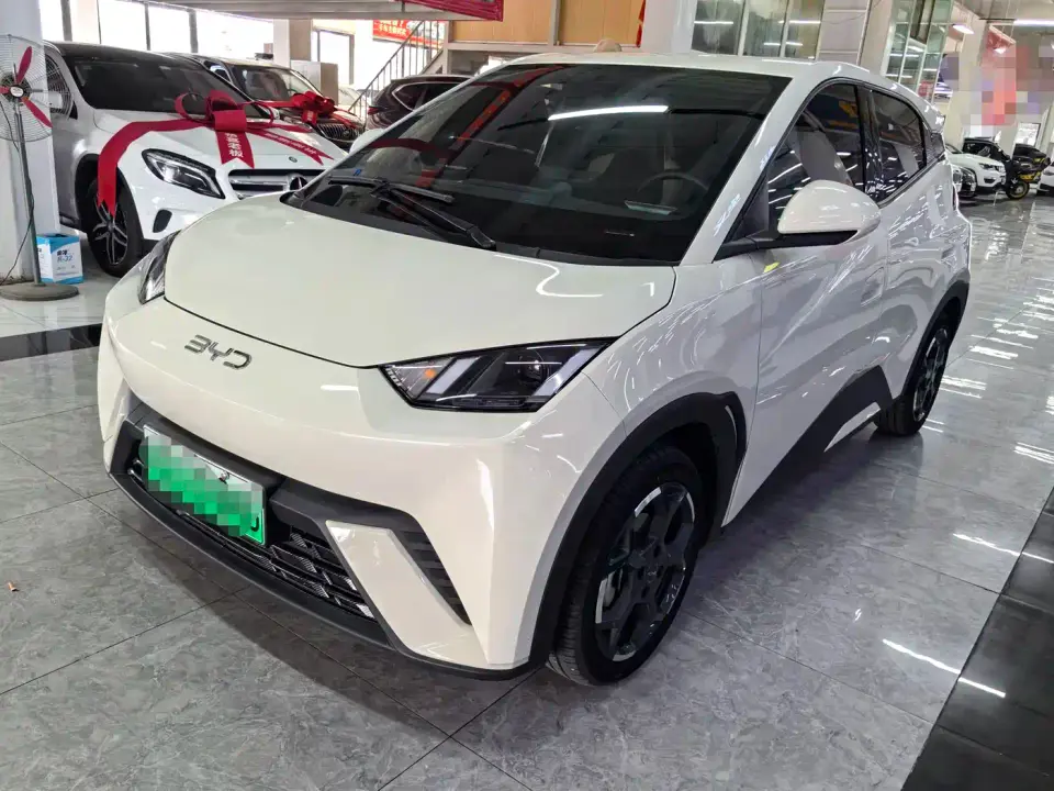 BYD Seagull Glory Edition 305km Freedom Edition 2024