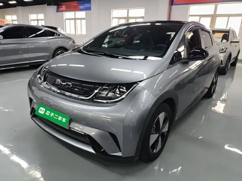 BYD Dolphin 420km Fashion Edition 2023