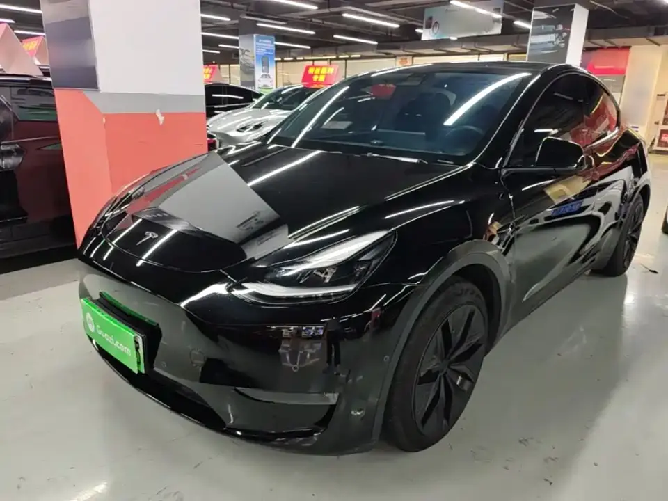 Tesla Model Y Standard Range Rear-Wheel Drive 2021