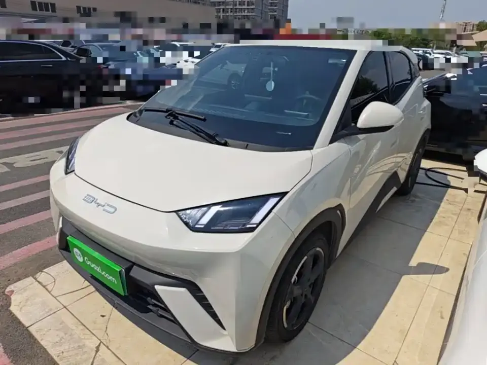 BYD Seagull Flying Edition 2023