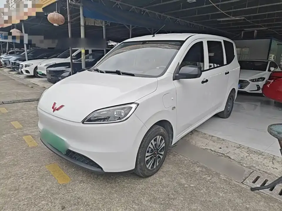 Wuling Motors Wuling Hongguang New Energy Model Pure Electric 300KM Utility Version 2024