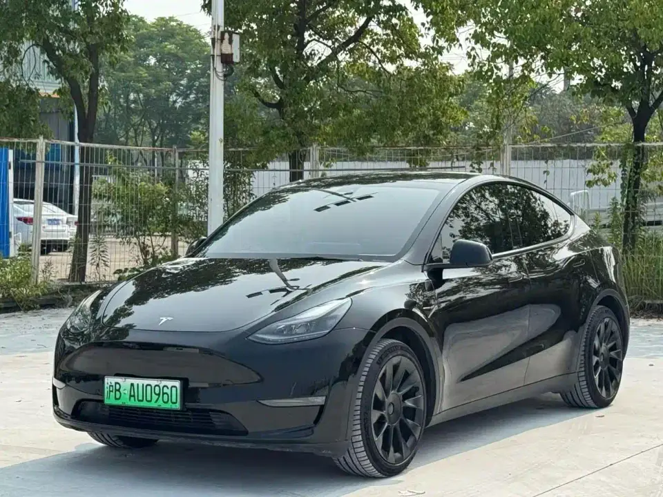 Tesla Model Y Standard Range Rear-Wheel Drive 2021