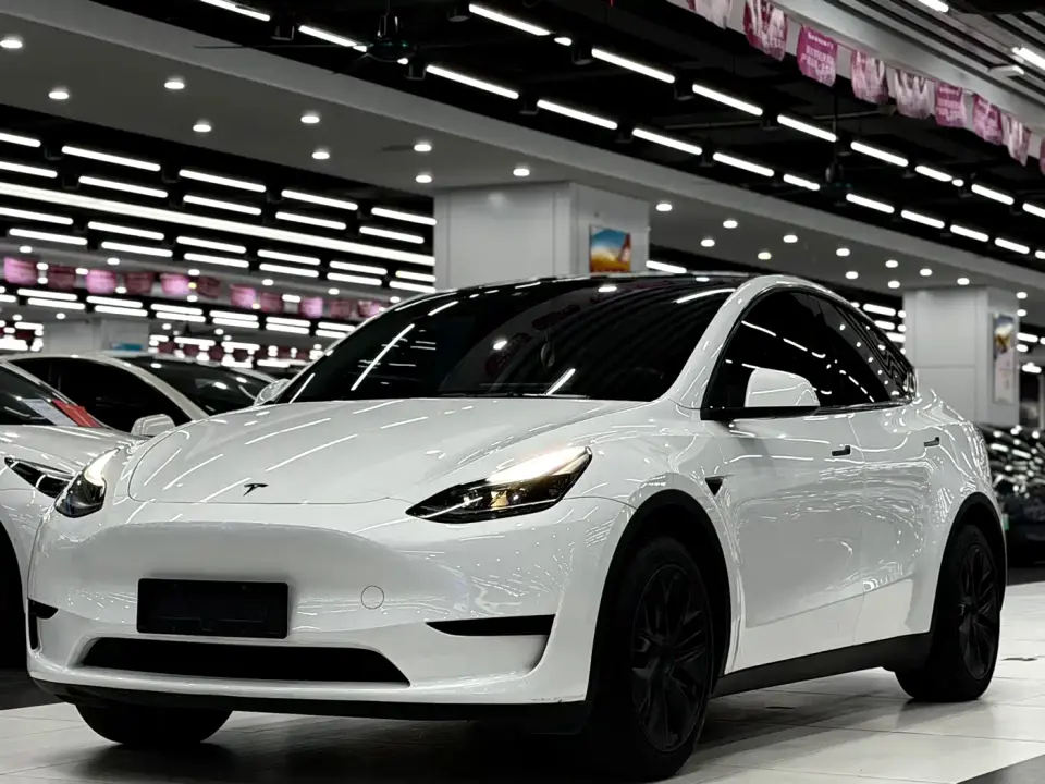 Tesla Model Y Rear-Wheel Drive Version 2024