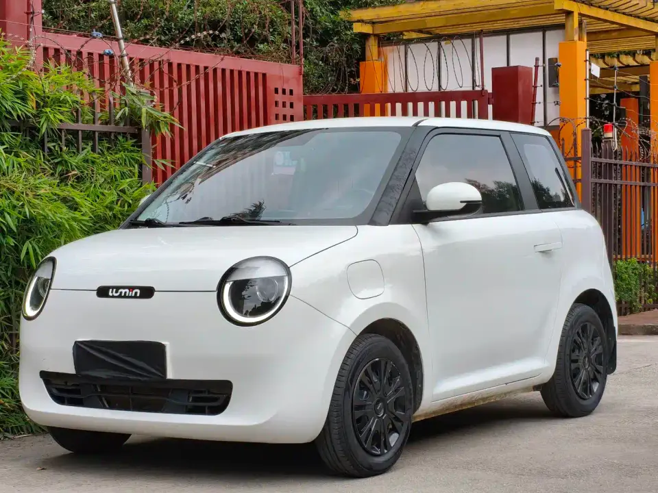 Changan Qiyuan Changan Lumin 210km Sweet Edition 2023