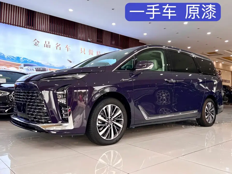 Buick GL8 New Energy Land Honor NCM 2025