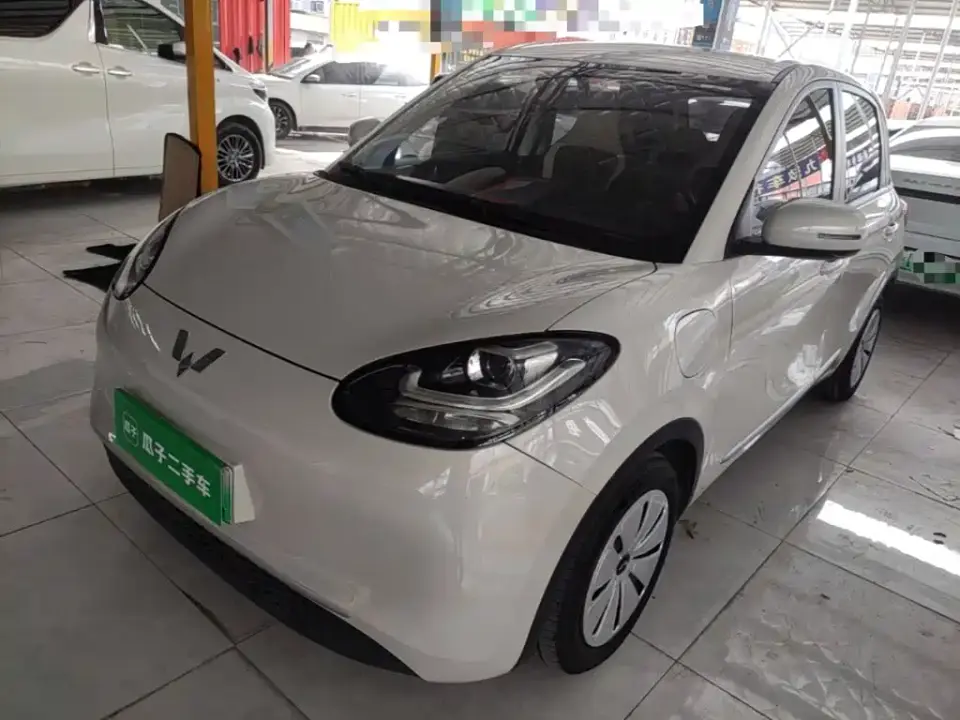 Wuling Motors Wuling Bingo 333km Quick Enjoy Version 2024