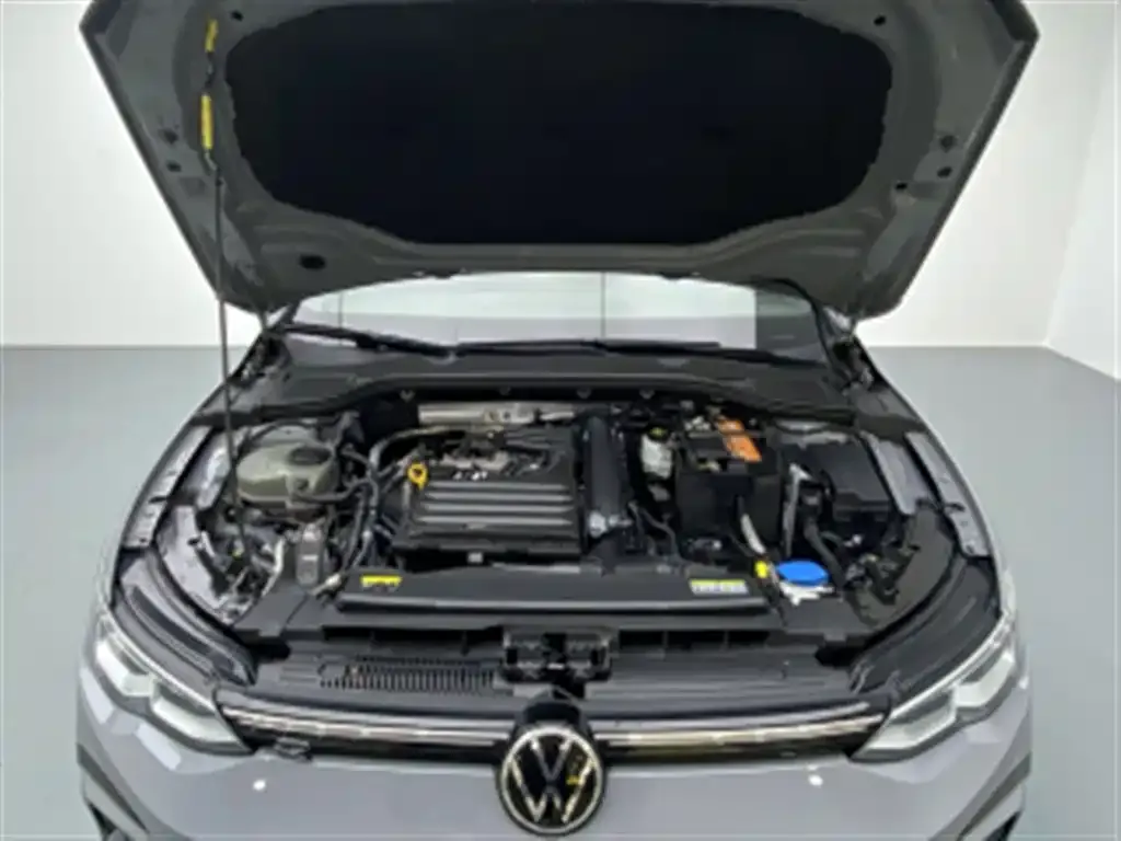 Volkswagen Golf 280TSI DSG R-Line 2021 — фото 8