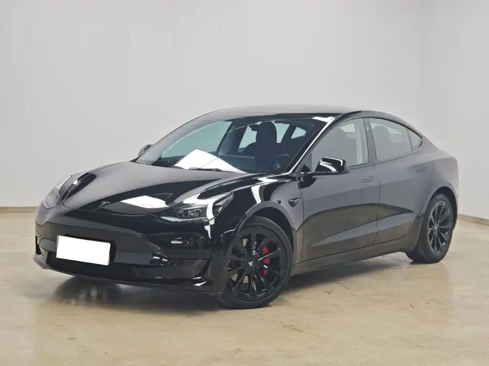 Tesla Model 3 Standard Range Rear-Wheel Drive Upgrade 3D6 2021