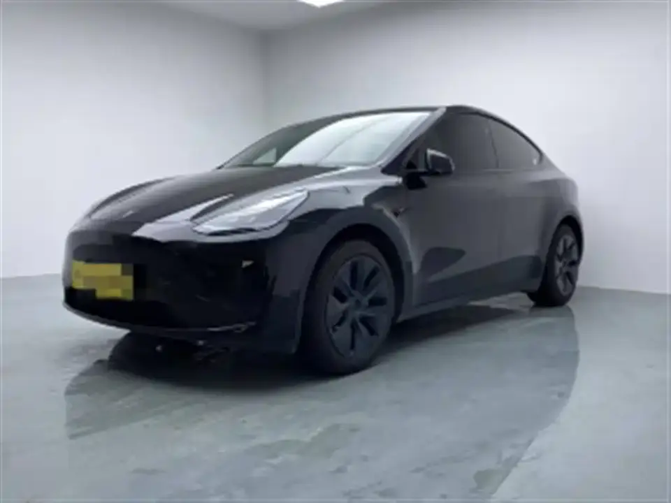 Tesla Model Y Rear-Wheel Drive Version 2024