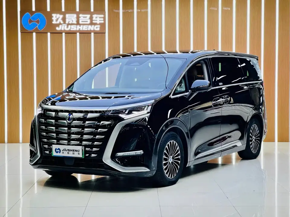 Denza D9 DM-i 1040 Premium 2023