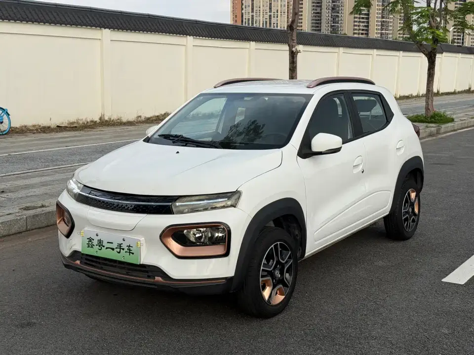 Dongfeng Yipai Nano BOX Wind Chaser Edition 331KM Standard 2024
