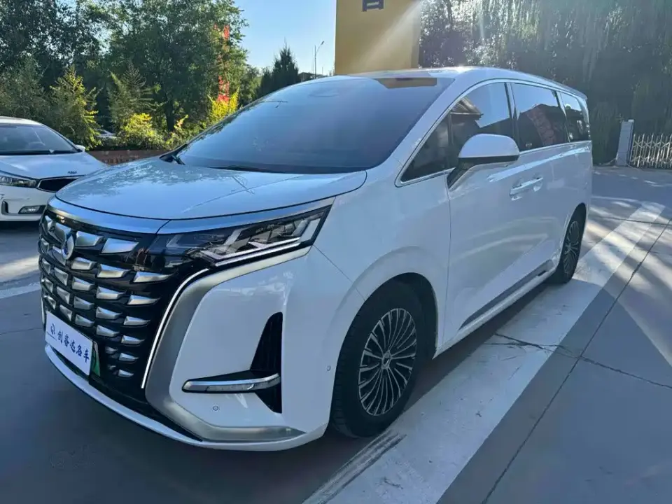 Denza D9 DM-i 980 AWD Flagship 2024