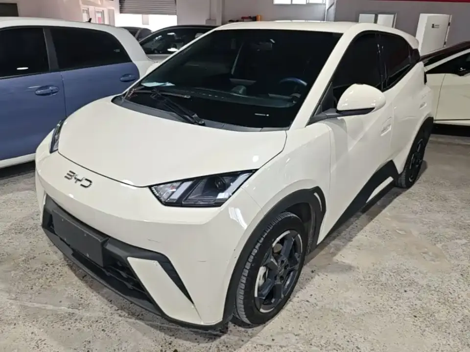 BYD Seagull Glory Edition 305km Freedom Edition 2024