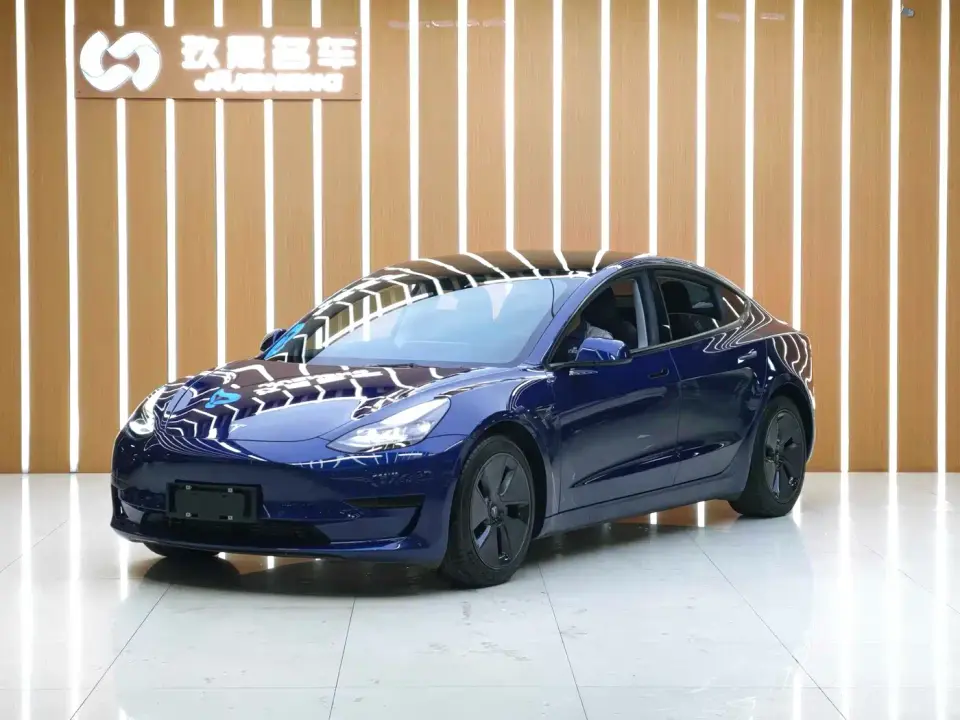Tesla Model 3 Standard Range Rear-Wheel Drive Upgrade 3D6 2021