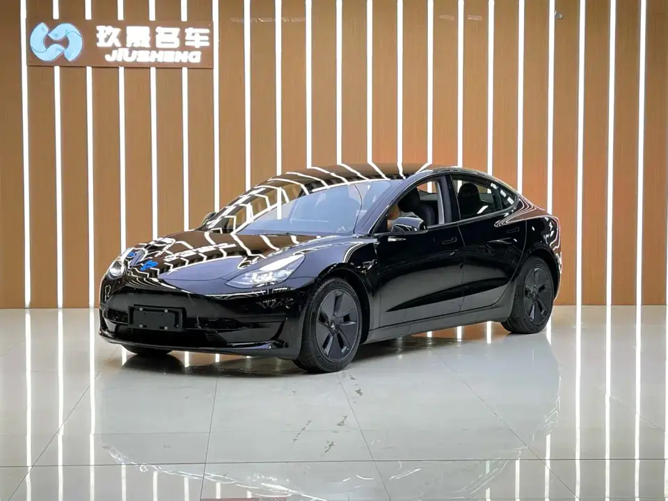 Tesla Model 3 Standard Range Rear-Wheel Drive Upgrade 3D6 2021