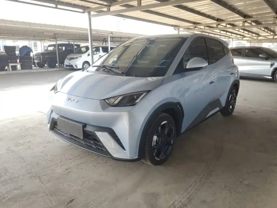 BYD Seagull 305km Freedom 2024