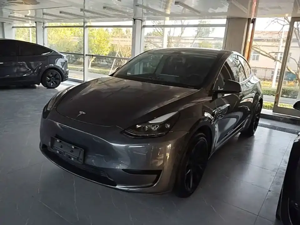 Tesla Model Y Rear-Wheel Drive Version 2022