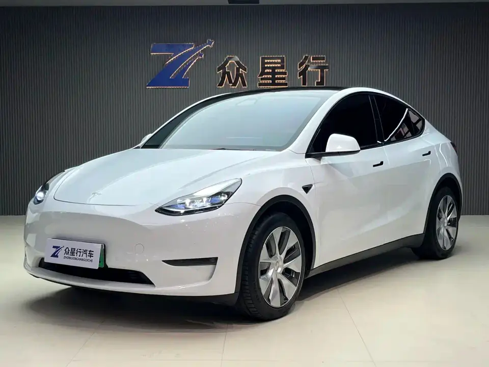 Tesla Model Y Model Long Range AWD 2021