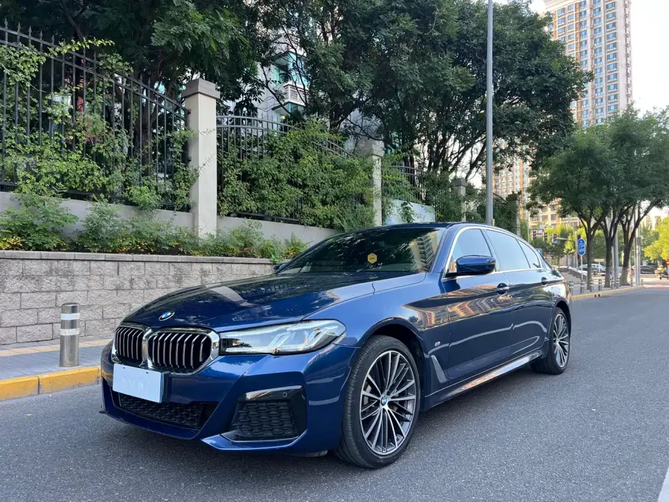 BMW 5 Series 530Li Leading M Sport Package 2020