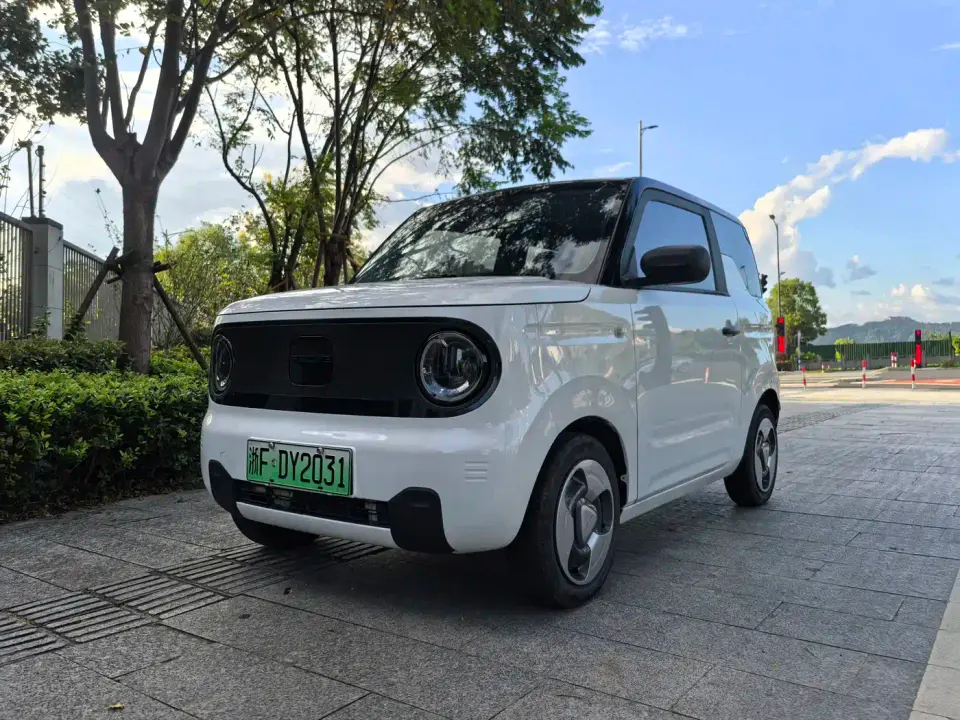 Geely Galaxy Panda Panda Mini New Year Edition - Treasure Bear 2023