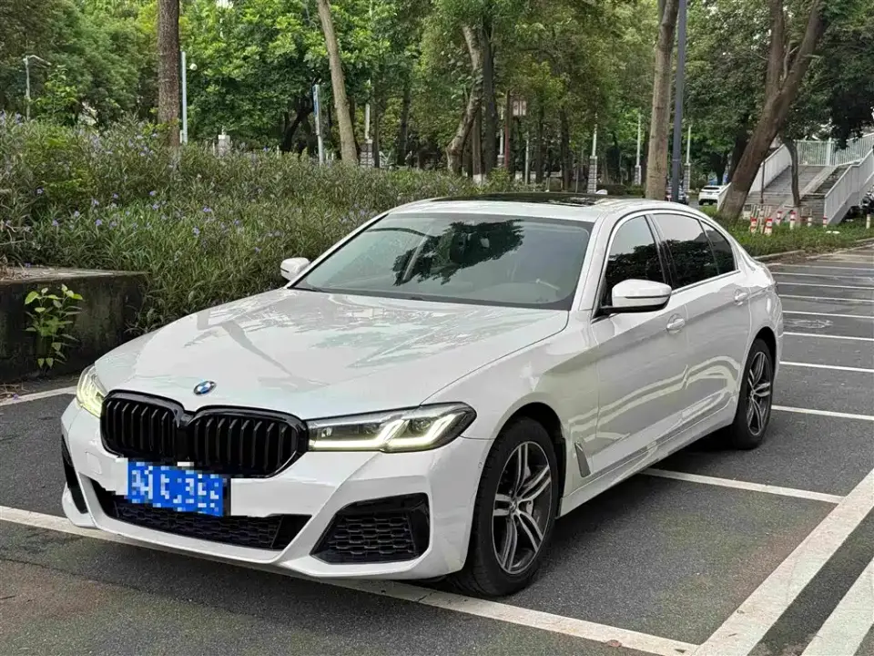 BMW 5 Series 530Li Leading Luxury Package 2021