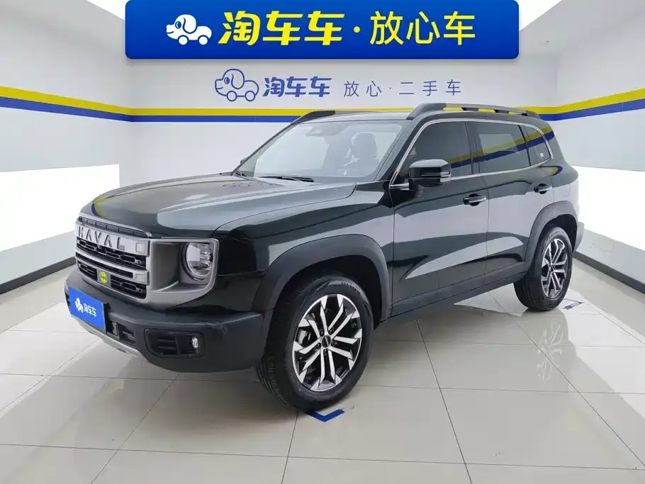 Haval Big Dog 1.5T DCT Border Collie Edition 2024