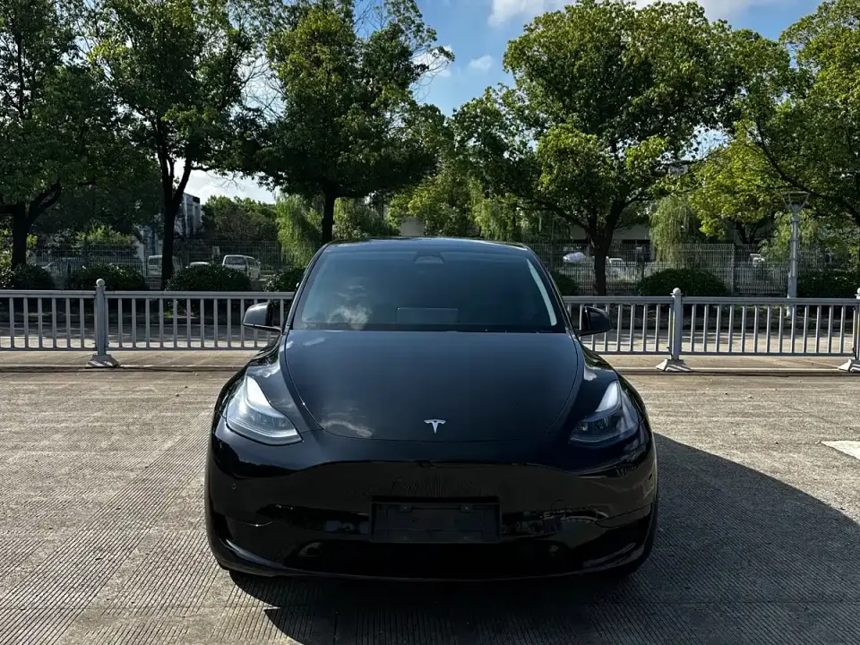 Tesla Model Y Rear-Wheel Drive Version 2024