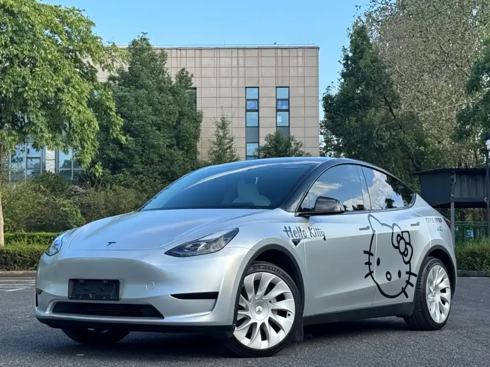 Tesla Model Y Rear-Wheel Drive Version 2024