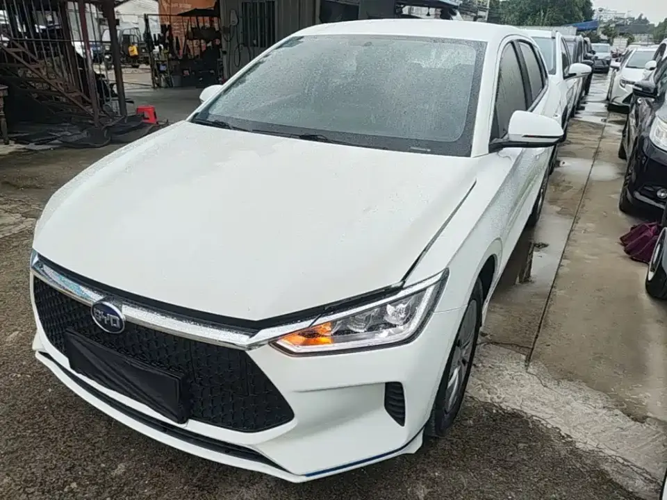 BYD e2 Upgrade Standard Range Standard Model 2021