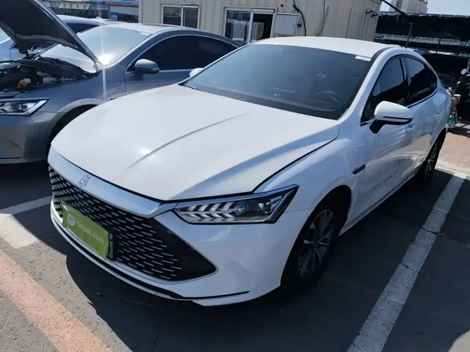 BYD Qin PLUS Champion Edition DM-i 55KM Leading 2024