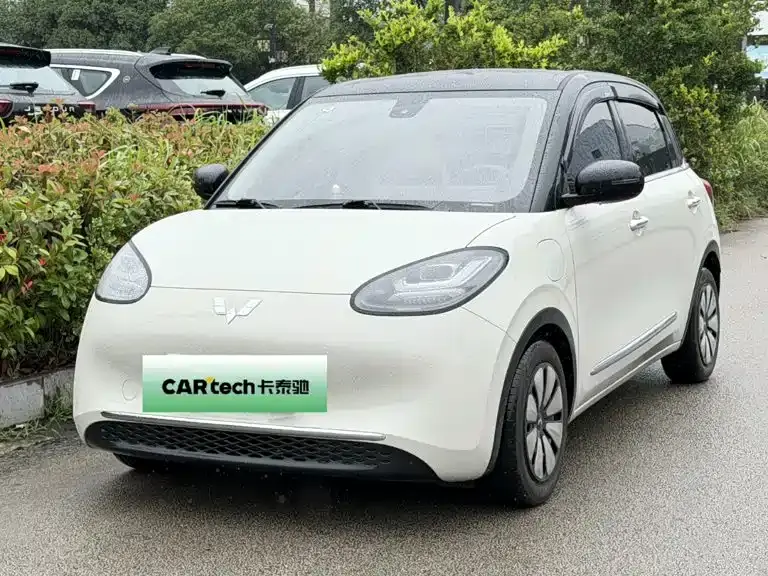 Wuling Motors Wuling Bingo 333km Smart Connectivity Edition 2023