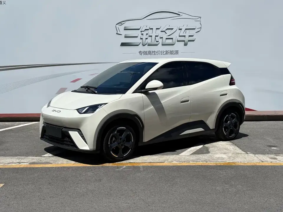 BYD Seagull Freedom Edition 2023