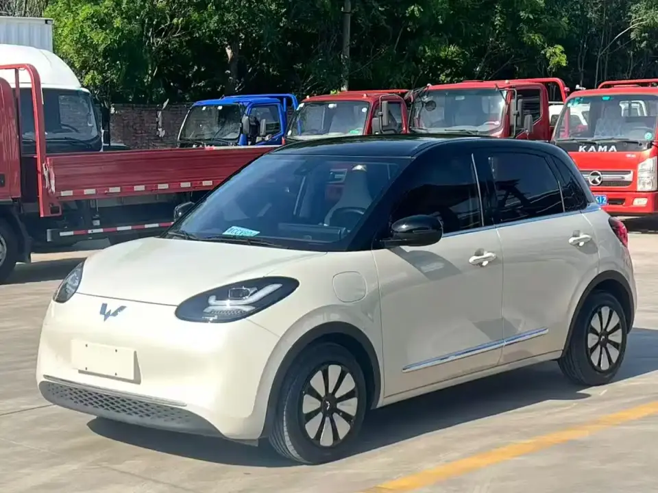 Wuling Motors Wuling Bingo 333km Comfort Edition 2023
