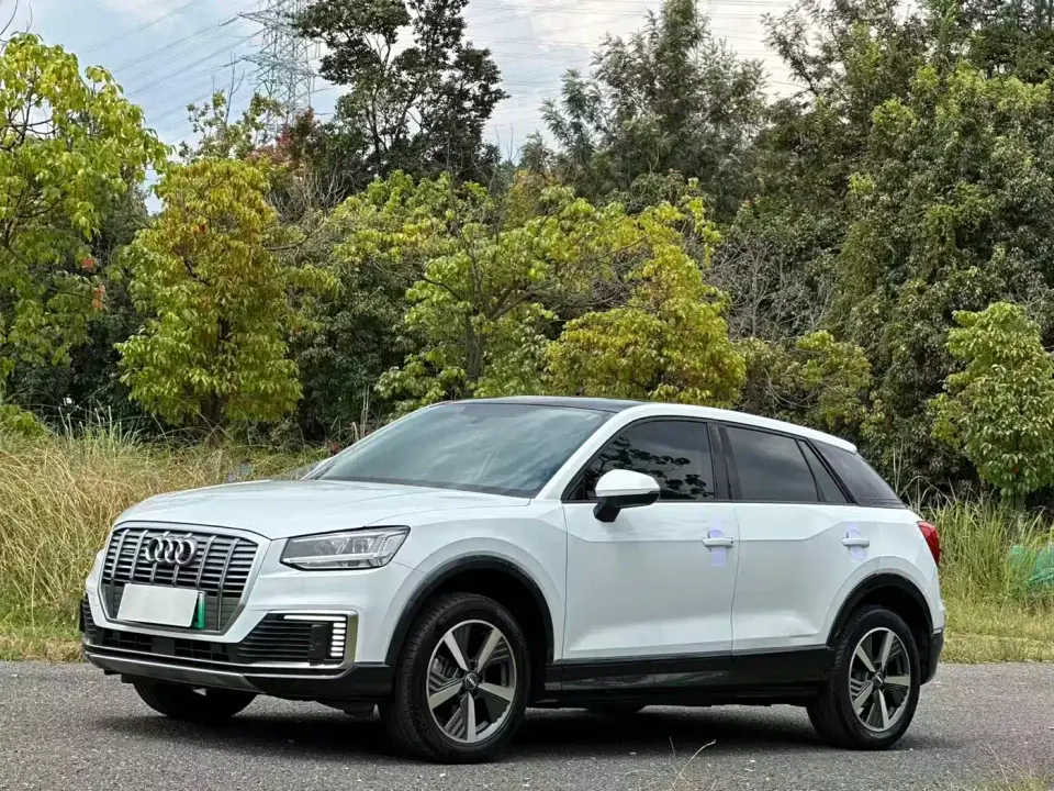 Audi Q2L e-tron Q2L e-tron Pure Electric Smart Cool Edition 2020