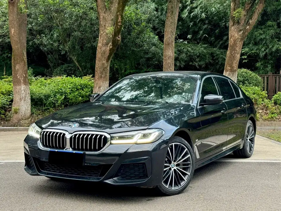 BMW 5 Series 530Li Leading M Sport Package 2022