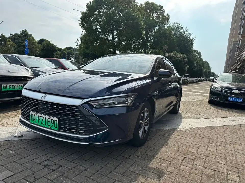 BYD Qin PLUS Champion Edition DM-i 55KM Leading 2023