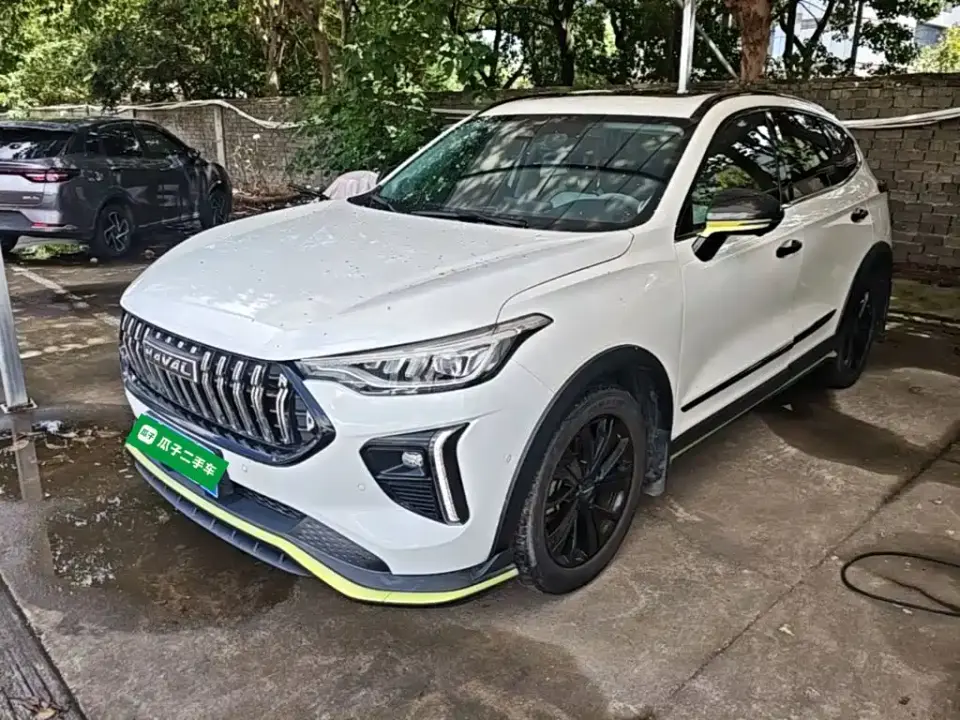 Haval Chitu Boost Edition 1.5T Platinum Rabbit 2021