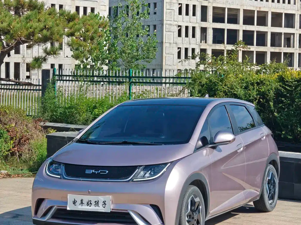 BYD Dolphin Model 405km Fashion Edition 2022