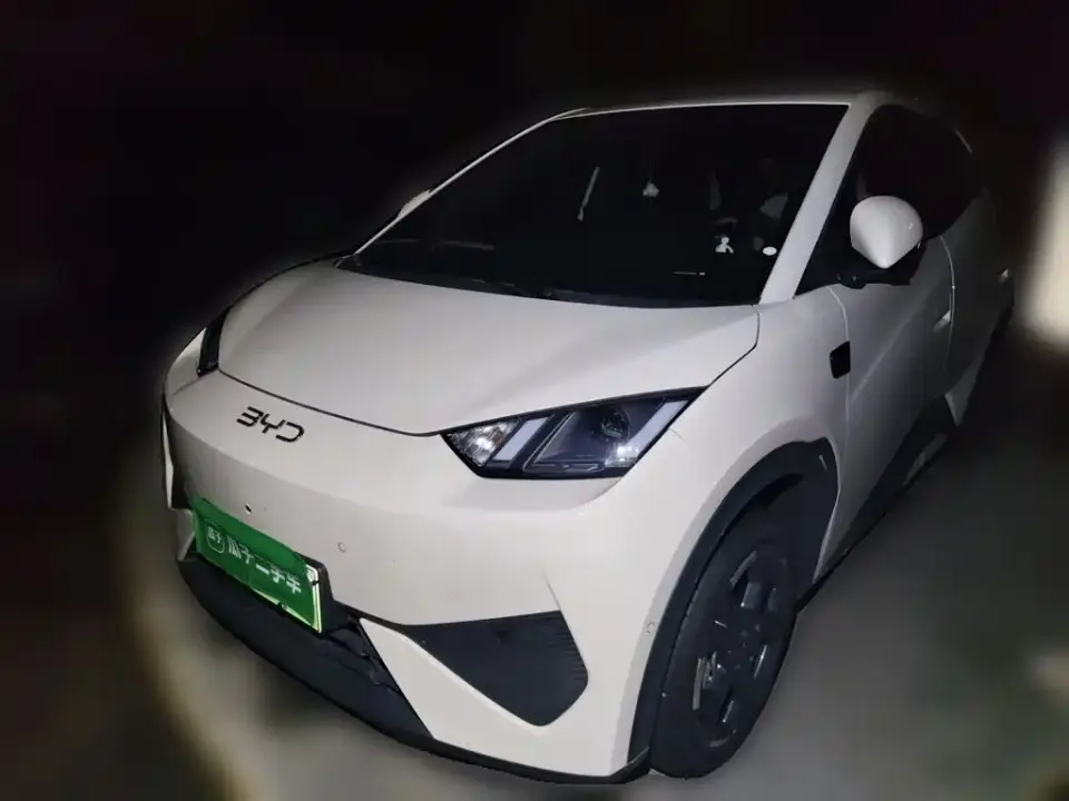 BYD Seagull Smart Drive Edition 305km Freedom Version 2026