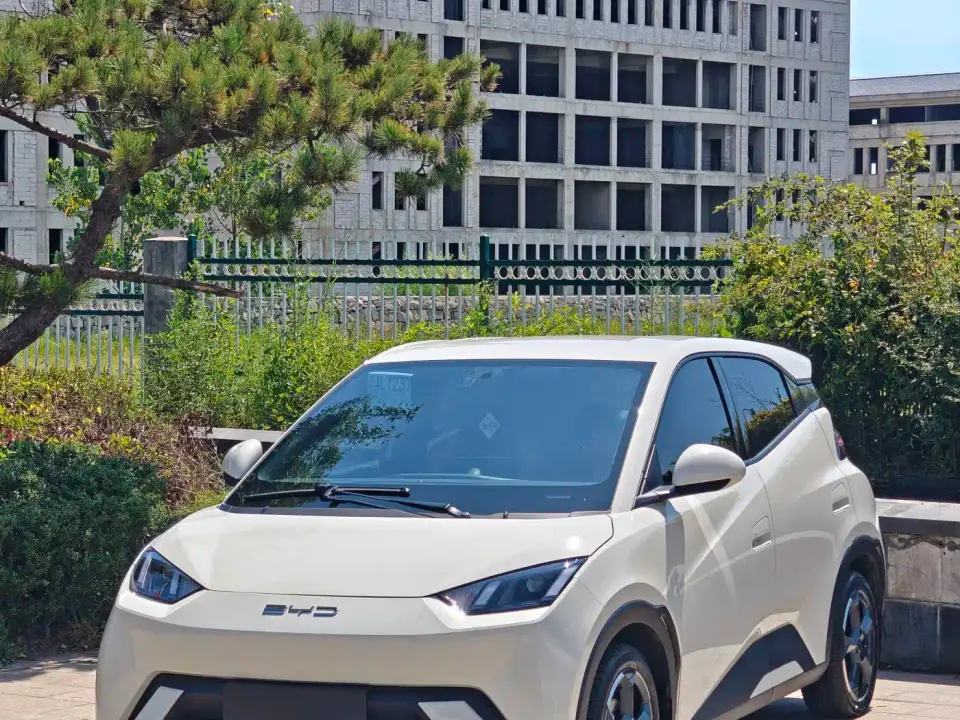 BYD Seagull Freedom Edition 2023