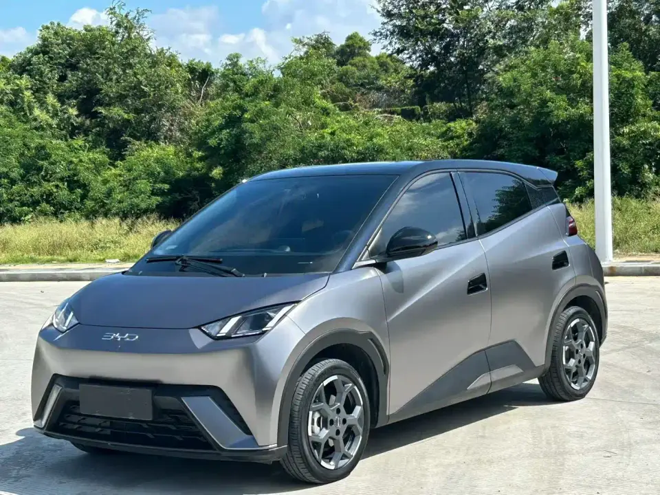 BYD Seagull Glory Edition 305km Freedom Edition 2024