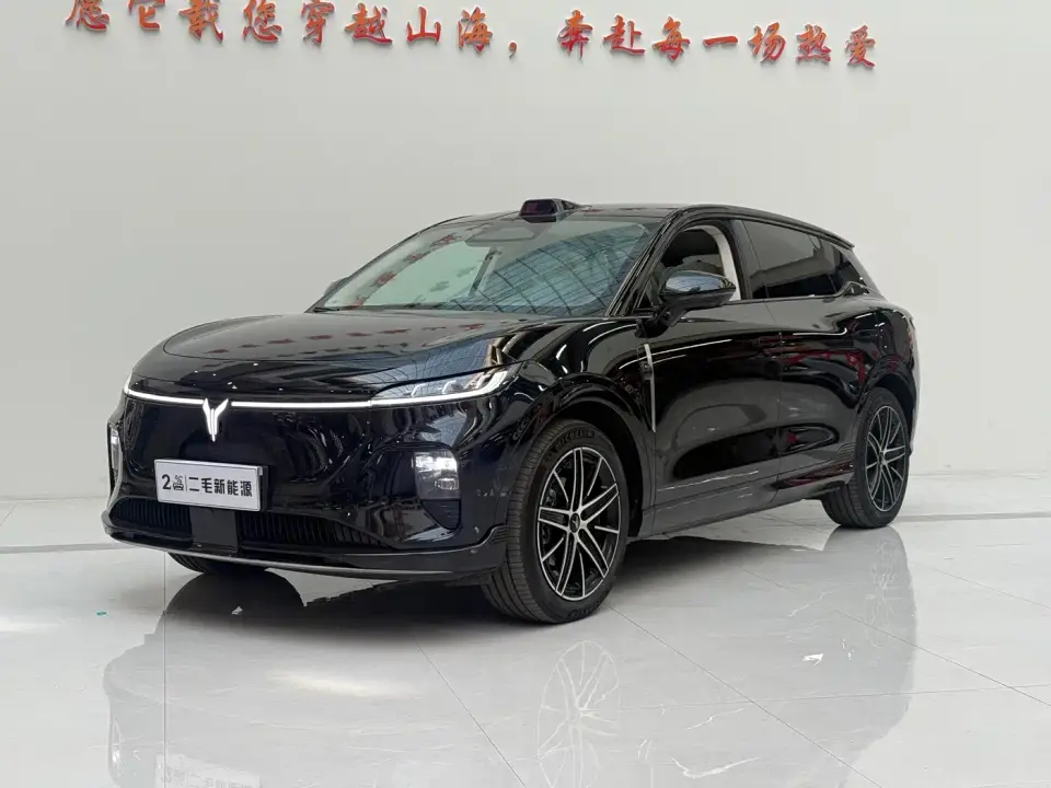 Voyah Auto Voyah Zhiyin Base 2025