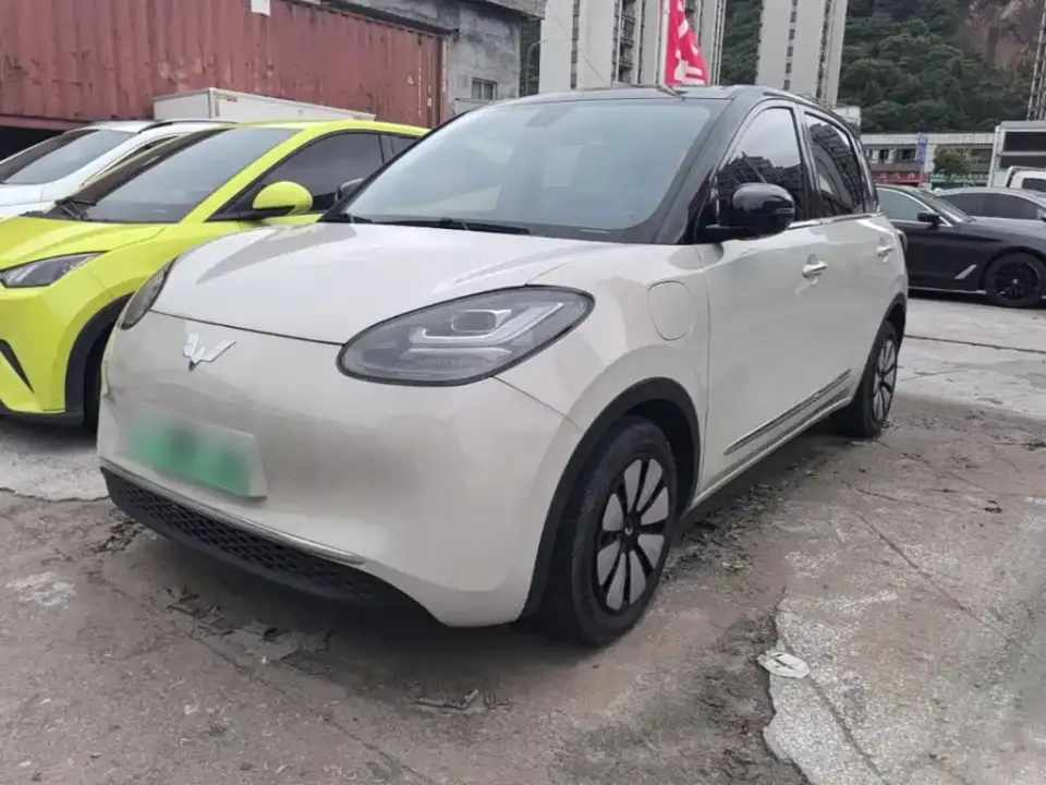 Wuling Motors Wuling Bingo 410km Lingxi Premium Edition 2023