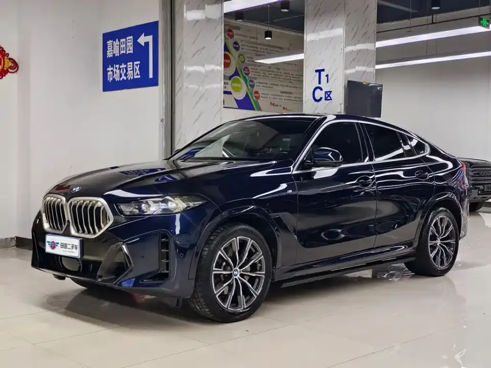BMW X6 xDrive30i M Sport Package 2024