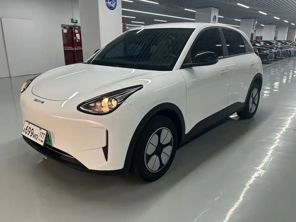 Geely Galaxy Starry Wish 310km Youth Edition 2025
