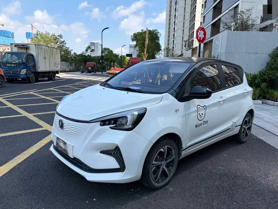 Changan Benben E-Star Appreciation Edition Colorful LFP 2022
